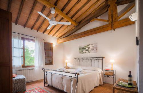 Podere Felceto - Photo 49