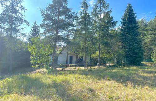 Kisielkowo - Foto 22