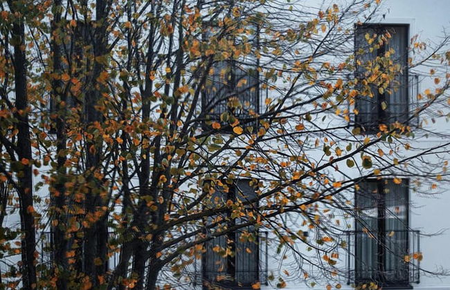 Jono Kalnelis Apartments - Photo 13