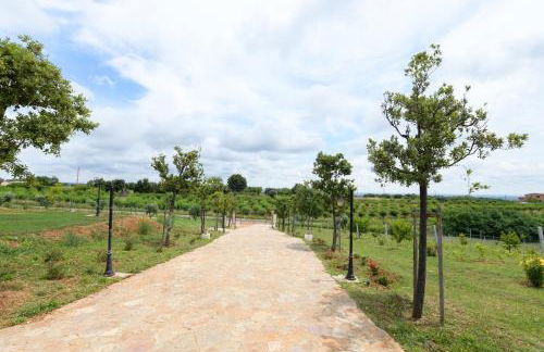 La volpe e l'uva Dimore - Photo 53