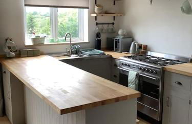 Penrallt-Fach Traditional Welsh cottage Pembrokeshire - Foto 29