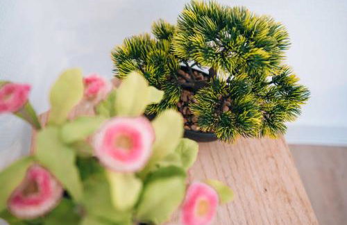 LE PETIT VOLTAIRE - Proche Centre Ville - Spacieux - Foto 6