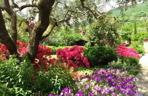 IRIS 2 lago di Como - Foto 36