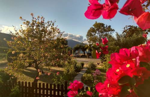 Apartments Katerina by the sea - Foto 7