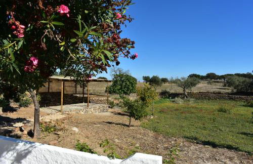 Casa da Cerca - Foto 62