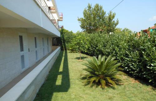 Villa Ancora - Photo 7
