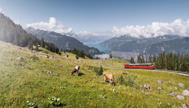 Train à crémaillère de Schynige Platte