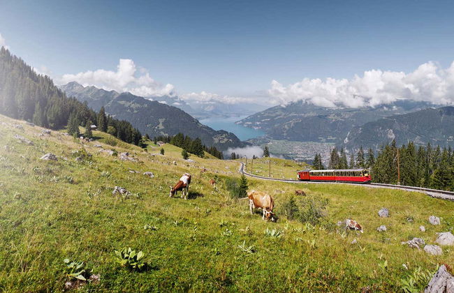 Train historique pour Schynige Platte - Photo 3