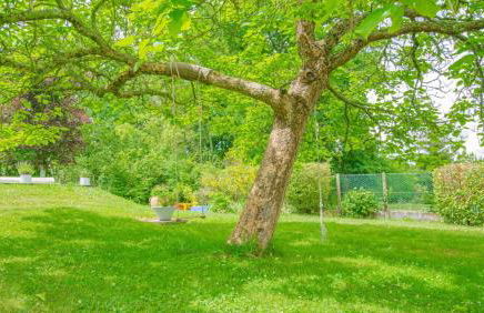 La maison vautier - Foto 27