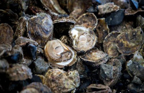 Holiday Home Monika - Two Bedroom Holiday Home with Terrace and Sea View - Photo 30