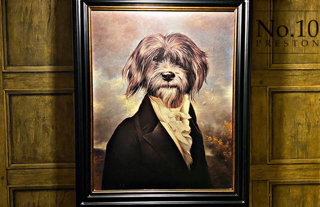 No.10 Preston - Foto 54