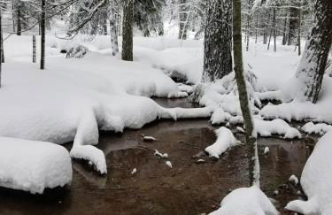 Cozy Mountain Cabin Yosemite Dodge Ridge Ski - Foto 50