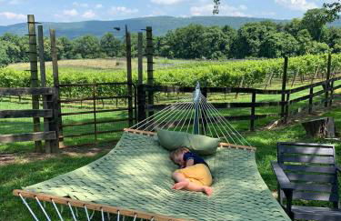 Vinewood Estate & Adventures - Foto 6