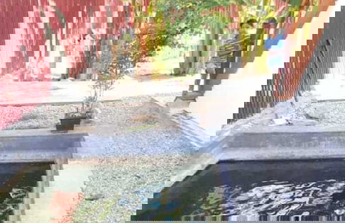 Comfortable, Great and Cheap - Foto 8