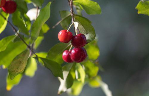 Quinta Santa Cruz - Foto 23