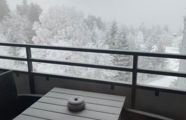 Apartment Bergluft Winterberg am Bikepark, Skilift, SSC - Foto 25