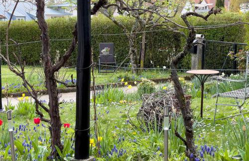 Ferienweingut Wissing Wohnung Frieda - Foto 12