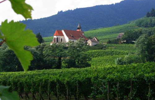 Le Grand Cru de Sophie - Foto 22