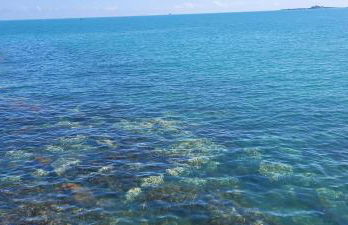 Face à la mer - Foto 11