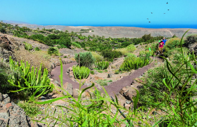 Oasis Wildlife Fuerteventura - Foto 9