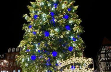 BONNE IDEE - Suite GEORGES - Meublé de tourisme 4 étoiles - Foto 62