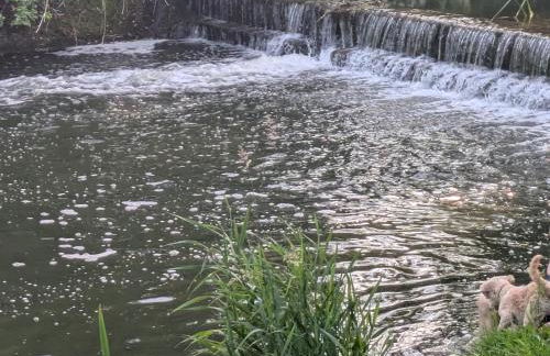 South Cotswolds cottage - Foto 17