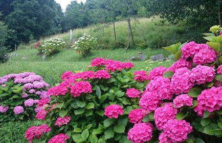 Domocantabria - Foto 46