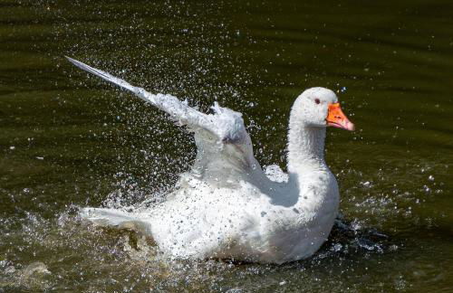 Chateau Le Colombier - Photo 19