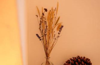 Ferienwohnung Waldgeflüster - Foto 28