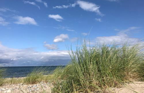 Ferienhof Utech - Foto 7