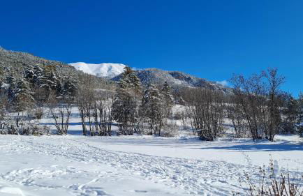 Chalet SERRE CAMBEOU Piscine&spa - Foto 41
