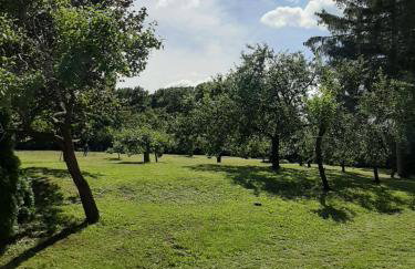 Apartament Pod Orzechem - Foto 25