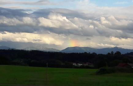 Jägerstüble - Foto 4