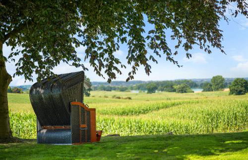 GUT KLETKAMP "Finkenhaus" - Idyllisch freistehendes Landhaus mit 3 Schlafzimmern und fantastischem Ausblick I 8 Personen I Offener Kamin I Garten I Wintergarten I Große Terrasse I Ruhig am Waldrand I Parkplätze I WLAN - Foto 5