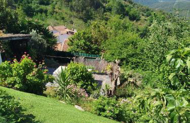 Bela Vista Alqueve - traditional stone house and private pool - Photo 14