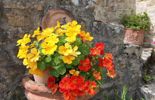 La Maison de Lassagne - Foto 48