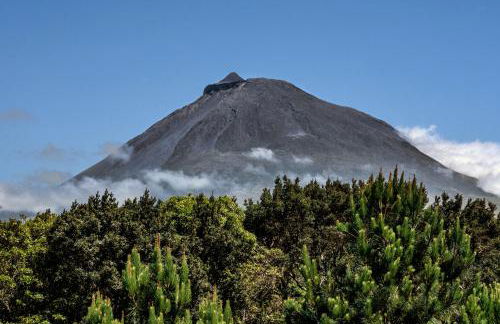 Alma do Pico - Nature Residence - Photo 61