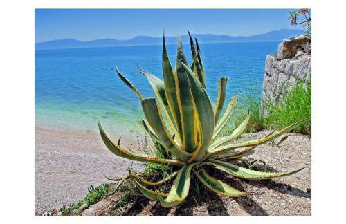 Martinovic 2 Comfortable holiday residence - Foto 10