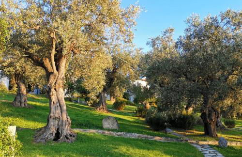 Saint Andrews Bay - Foto 33