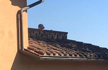 Agriturismo Comparone Casavecchia - Photo 65