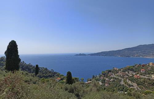 Il Glicine cozy appartamnent, near Sestri Levante between Cinque terre e Portofino - Foto 19