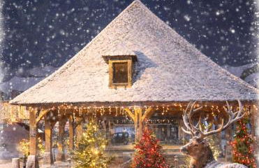 Centre historique de LYONS LA FORET Hotel de Maître le Cottage - Foto 3