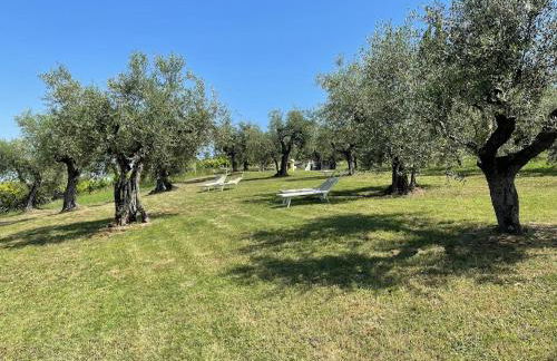 Locanda Belvedere - Foto 17