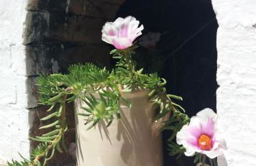 Trulli di Puglia - Casa vacanze in Valle d'Itria - Foto 45