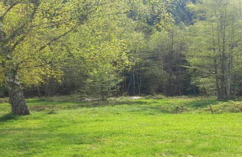 Quiet Chalet with Garden - Foto 37