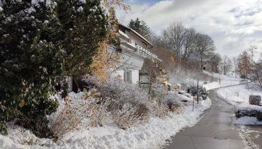 Feldbergsicht - Foto 4