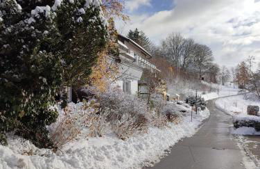 Feldbergsicht - Foto 4