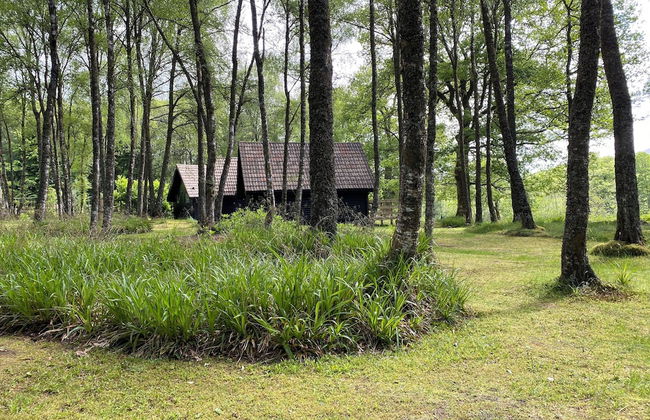 Burnbank Lodges - Foto 15