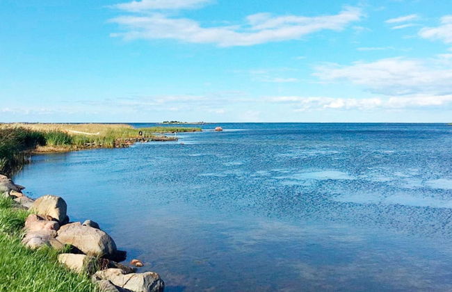 8 Person Holiday Home in Bergkvara - Foto 30