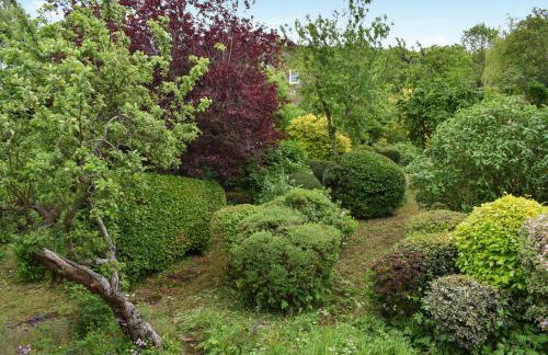 Dandelion Cottage - Foto 17